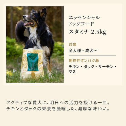 エッセンシャル ドッグフード スタミナ 2.5kg 全犬種 成犬～ グレインフリー ヒューマングレード （香料・着色料不使用） チキン ダック サーモン マス ドライ フード 【ESSENTIAL FOODS】 EDFST