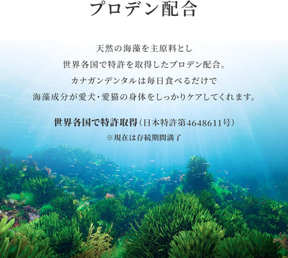 カナガン デンタル キャットフード（1.5kg）全猫種 全年齢対応 【着色料・香料不使用/グレインフリー/特許取得の海藻成分配合】Canagan CCFTCD