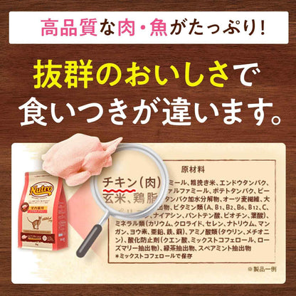 Nutro ナチュラルチョイス 成猫用 室内猫用 アダルト サーモン 2kg ドライフード 総合栄養食 1歳以上 キャットフード 猫 厳選自然素材 下部尿路の健康維持 香料・着色料 無添加 ニュートロ