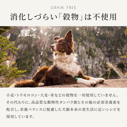 カナガン ドッグフード チキン (2kg) ドライフード 全犬種・全年齢 対応 【着色料・香料不使用 グレインフリー】 CANAGAN CDFC