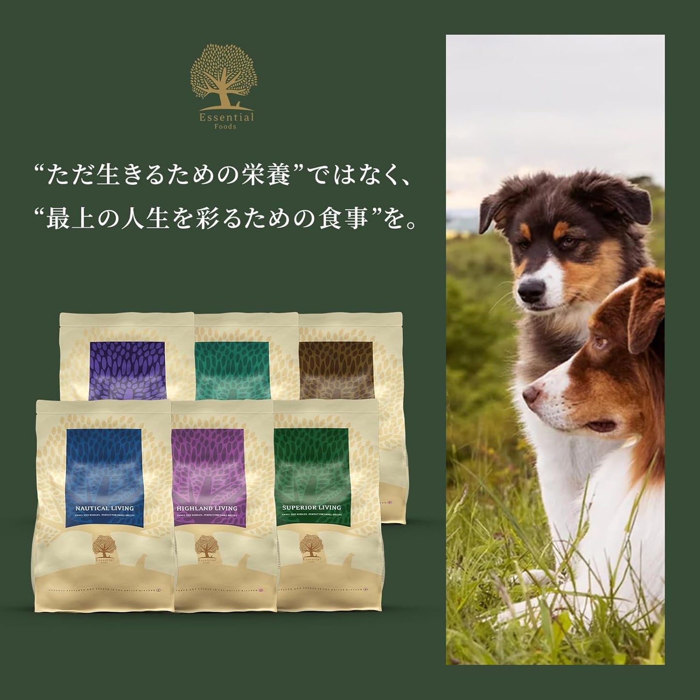 エッセンシャル ドッグフード エステートリビング 2.5kg 全犬種 成犬～ グレインフリー ヒューマングレード （香料・着色料不使用） ラム 鹿肉 チキン ドライ フード 【ESSENTIAL FOODS】 EDFE