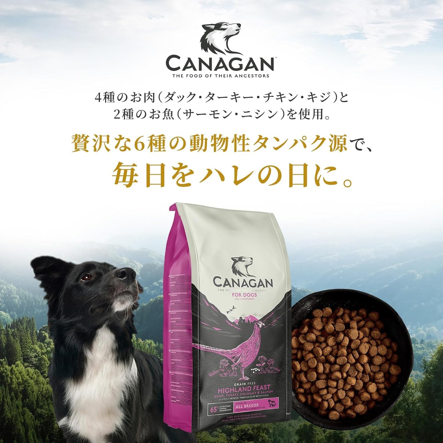 カナガン ドッグフード チキン (2kg) ドライフード 全犬種・全年齢 対応 【着色料・香料不使用 グレインフリー】 CANAGAN CDFC