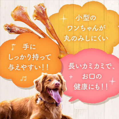 健康いぬ生活 馬肉 アキレス ジャーキー BIG 120g 犬 おやつ 無添加 ガム 国産 長持ち 歯磨きガム アキレス腱 犬用 日本製 アキレススティック ハード