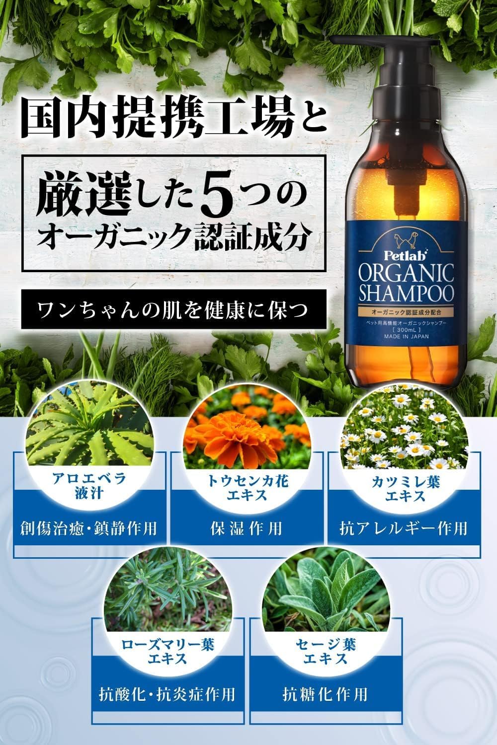 【動物看護師×トリミングサロンと共同開発】 ペット用 オーガニックシャンプー 犬用兼猫用 シャンプー 低刺激 無添加 国産 (500ml 泡タイプ)