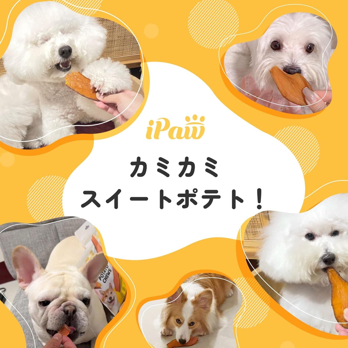 iPaw 犬のおやつ ヒューマングレードさつまいもスライス カミカミ楽しい干し芋おやつ さつまいも 犬用無添加 しつけ ご褒美 100g