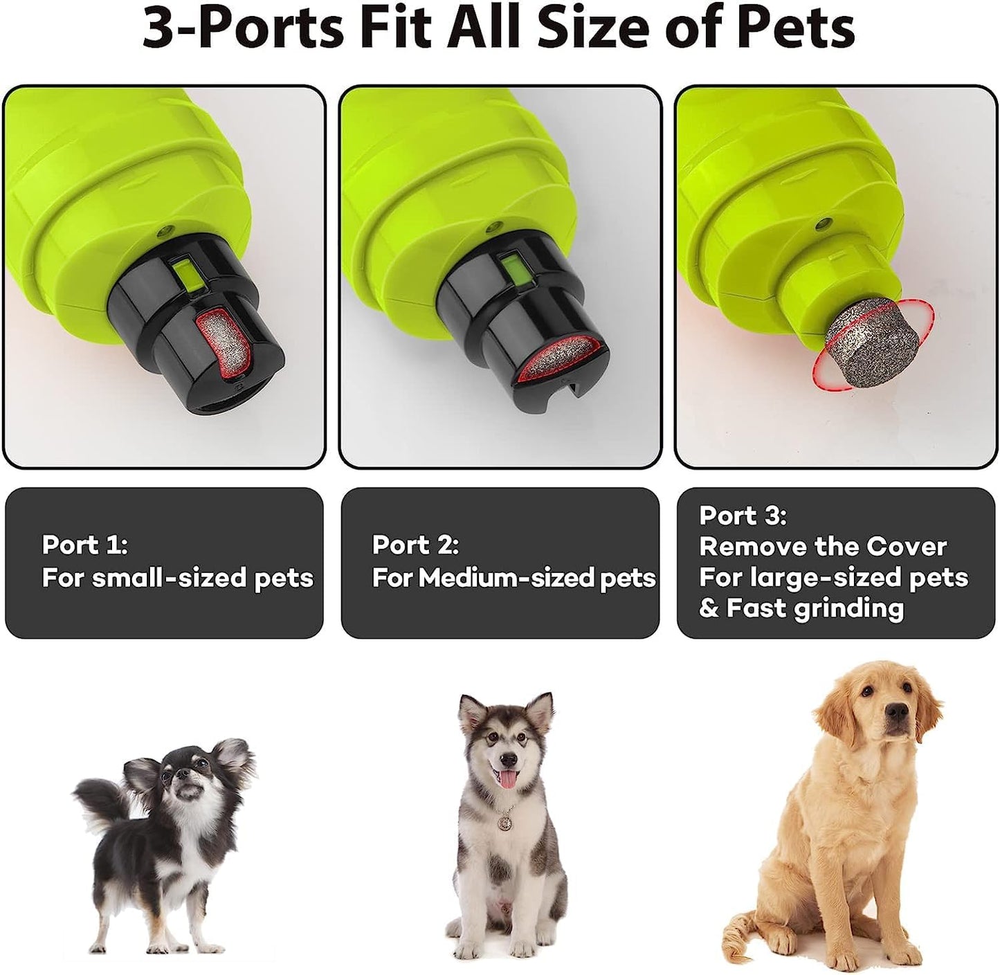 Casfuy犬爪切り電動ー 2つのLEDライト付き - 新バージョン 2スピード 強力な電動ペット用爪切り プロフェッショナル 静かで痛みのない足のグルーミングとスムージング 小中大型犬と猫用