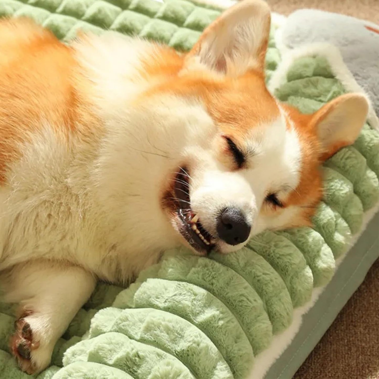 中型犬 ベッド 枕付きペットベッド 洗える 小型犬 低反発ベッド 大型犬 クッション 猫 ベッド 冬 キャットハウス ペット用マット ソファー さらさら ドライブベッド 高齢犬 ジェラートピケ 清掃しやすい 通気性 蒸れにくい 多頭飼い 取り外せるカバー 滑り止め 防水 ペット用品 犬 グッズ(チョコレート色)