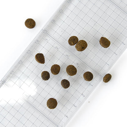 POCHI ザ・ドッグフード エイジングケア シニア ラム 1kg ポチ グレインフリー 低脂肪