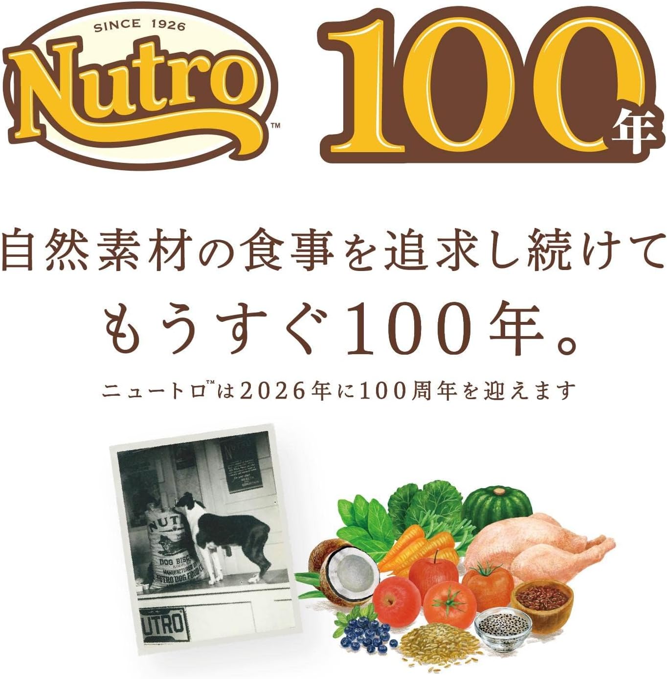 Nutro ナチュラルチョイス 小型犬用 成犬用 生後8ヶ月以上 チキン&玄米 3kg ドライフード 小粒 総合栄養食 ドッグフード 犬 自然素材 香料・着色料 無添加 ニュートロ