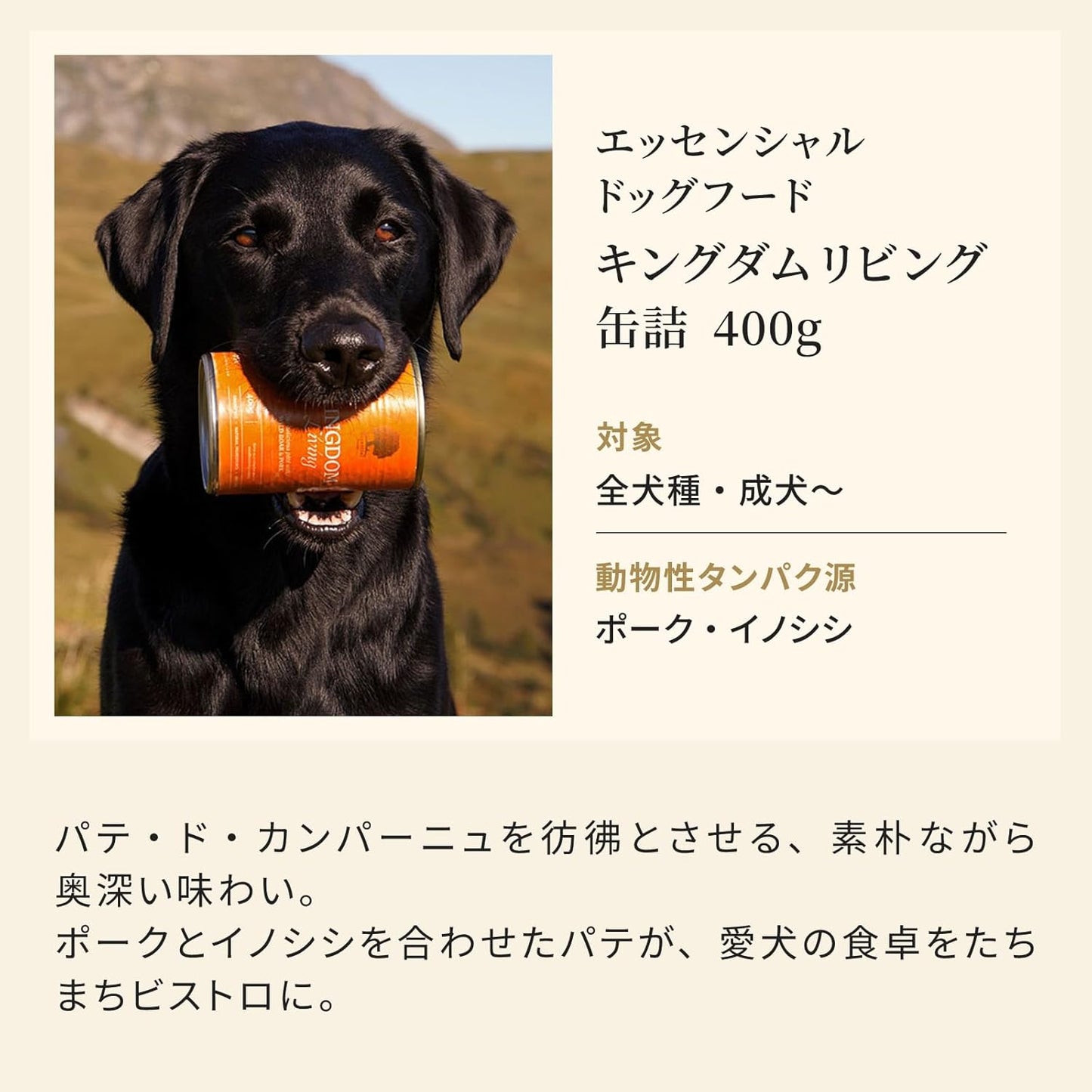 エッセンシャル ドッグフード キングダムリビング 缶詰 400g×1缶 全犬種 成犬～ グレインフリー （香料・着色料不使用） イノシシ肉・豚肉 ウェット フード 【ESSENTIAL FOODS】 1EIKK