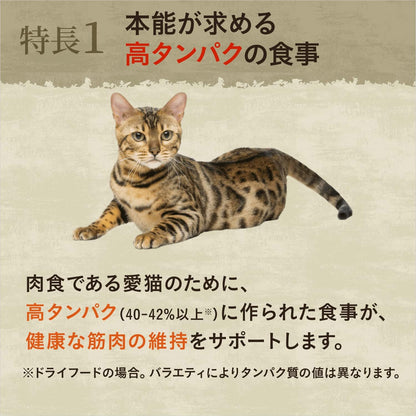 Nutro ワイルドレシピ 成猫用 グレインフリー アダルト チキン 2kg ドライフード 総合栄養食 キャットフード 猫 穀物フリー 高タンパク 厳選自然素材 香料・着色料 無添加 ニュートロ