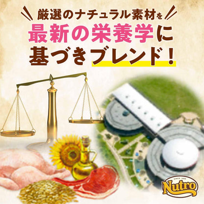Nutro ナチュラルチョイス 成猫用 室内猫用 アダルト サーモン 2kg ドライフード 総合栄養食 1歳以上 キャットフード 猫 厳選自然素材 下部尿路の健康維持 香料・着色料 無添加 ニュートロ