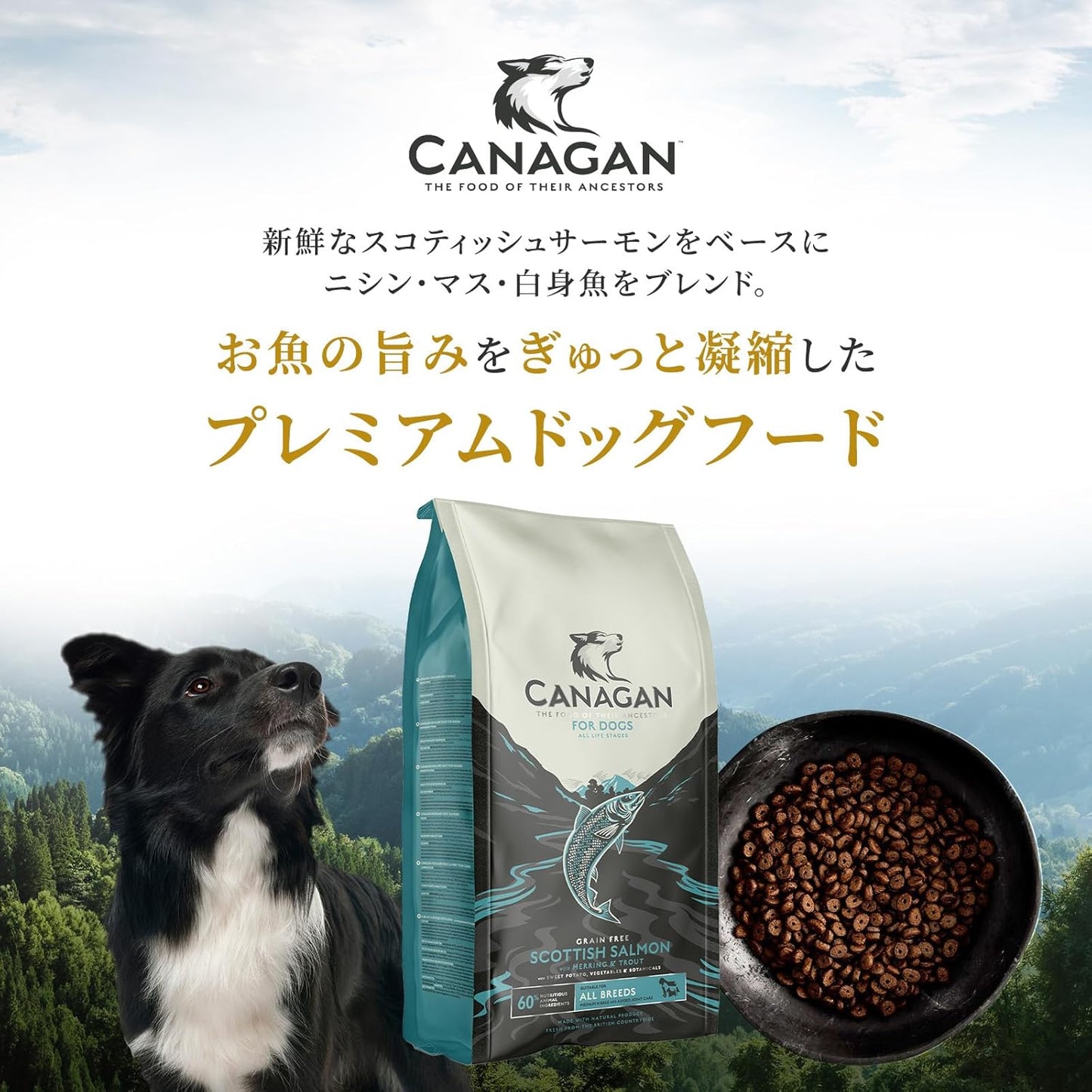 カナガン ドッグフード チキン (2kg) ドライフード 全犬種・全年齢 対応 【着色料・香料不使用 グレインフリー】 CANAGAN CDFC
