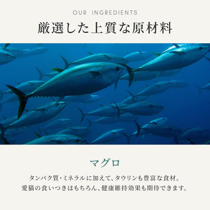 カナガン キャットフード マグロ 缶詰 (75g×12缶) ウェットフード [まとめ買い] 全猫種・全年齢 対応 ウェットタイプ 【着色料・香料不使用 グレインフリー】 CANAGAN 12CNKM