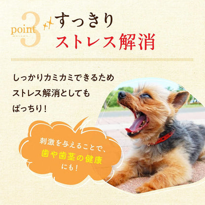 健康いぬ生活 馬肉 アキレス ジャーキー 105g (35g×3袋) 犬 おやつ 無添加 ガム 国産 長持ち 歯磨きガム アキレス腱 犬用 アキレススティック ハード