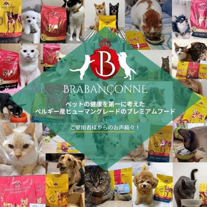 ブラバンソンヌ 成猫用 キャットフード オーシャンフィッシュ 2.5kg ベルギー産 ドライ 小粒 ローグレイン 消化器ケア 尿路ケア 腎臓ケア BRABANCONNE