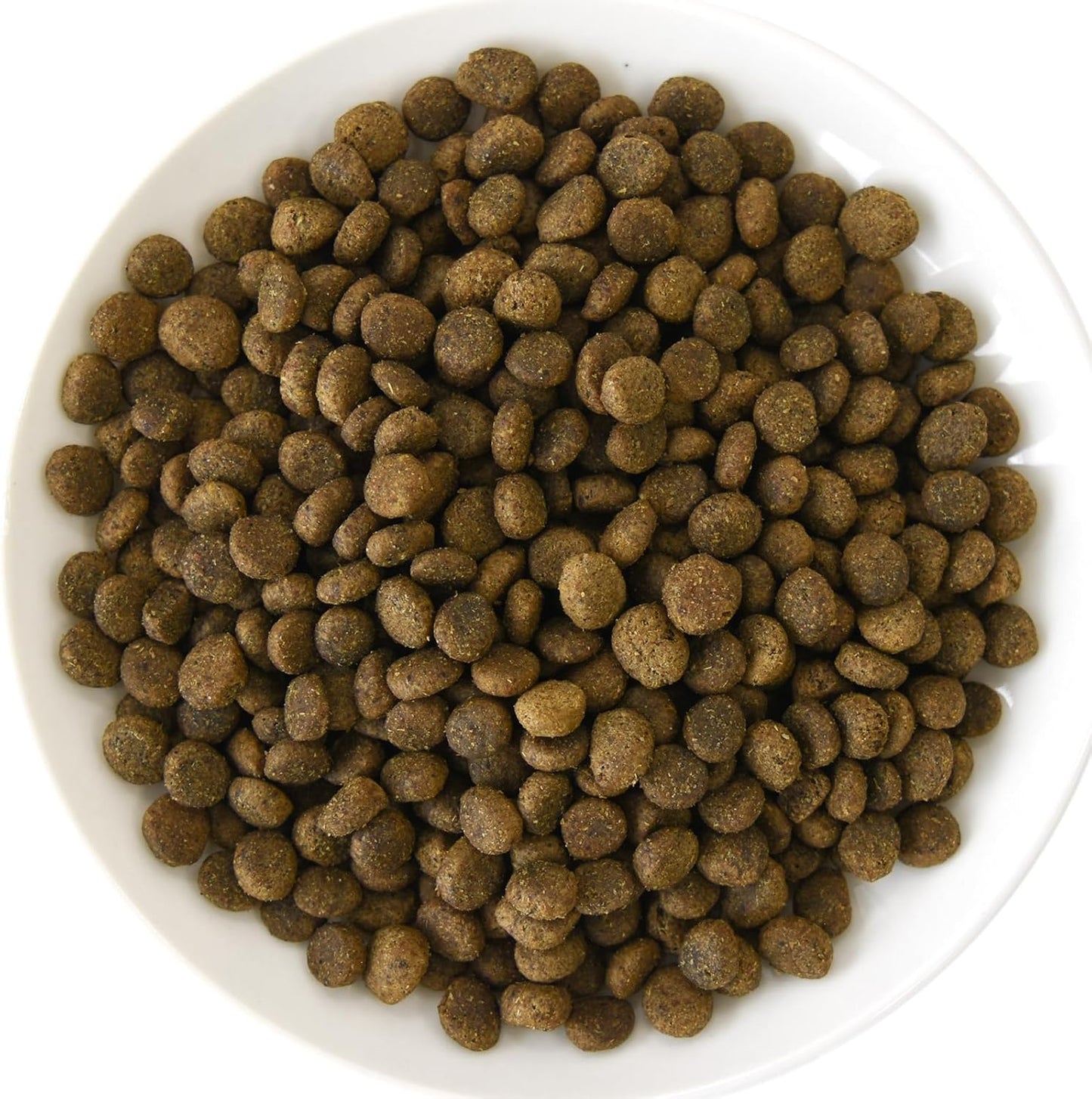 POCHI ザ・ドッグフード エイジングケア シニア ラム 1kg ポチ グレインフリー 低脂肪