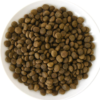 POCHI ザ・ドッグフード エイジングケア シニア ラム 1kg ポチ グレインフリー 低脂肪