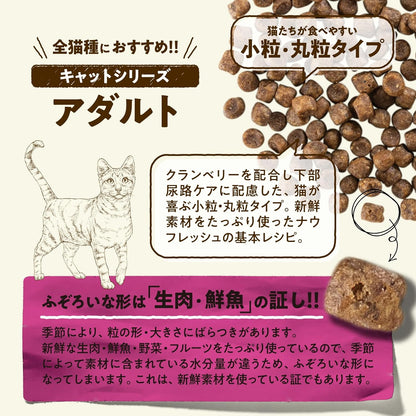 【新鮮な生肉・野菜・フルーツたっぷり!】 ナウフレッシュ 成猫用 丸粒 1.36kg キャットフード (ターキー＆サーモン＆ダック) アダルト グレインフリー ミールフリー NOW FRESH