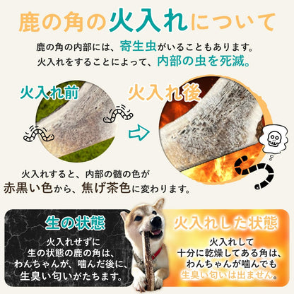 モノライフ 鹿の角 犬 噛むおもちゃ 無添加 おやつ 噛む 犬用 おもちゃ エゾジカ 国産 鹿 角 ガム 歯磨き デンタルケア 大型犬 20cm