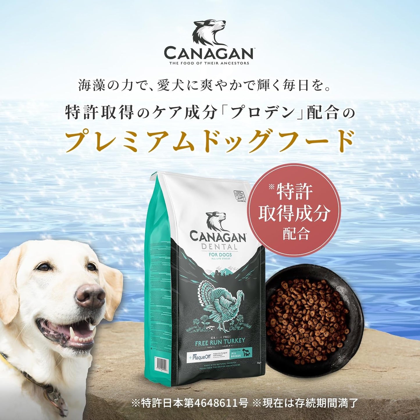 カナガン ドッグフード チキン (2kg) ドライフード 全犬種・全年齢 対応 【着色料・香料不使用 グレインフリー】 CANAGAN CDFC