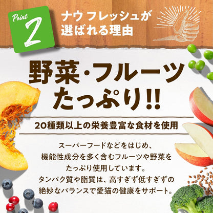 【新鮮な生肉・野菜・フルーツたっぷり!】 ナウフレッシュ 子猫用 丸粒 1.36kg キャットフード (ターキー＆サーモン＆ダック) キトン グレインフリー ミールフリー NOW FRESH