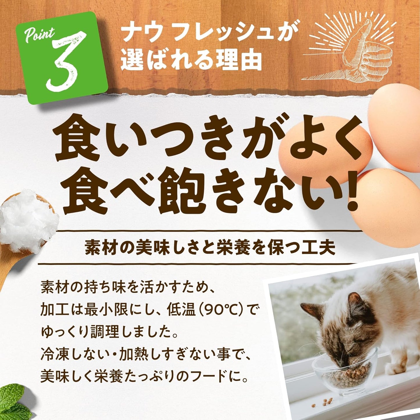 【新鮮な生肉・野菜・フルーツたっぷり!】 ナウフレッシュ 子猫用 丸粒 1.36kg キャットフード (ターキー＆サーモン＆ダック) キトン グレインフリー ミールフリー NOW FRESH