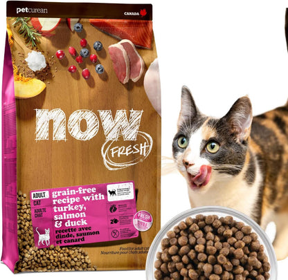 【新鮮な生肉・野菜・フルーツたっぷり!】 ナウフレッシュ 成猫用 丸粒 1.36kg キャットフード (ターキー＆サーモン＆ダック) アダルト グレインフリー ミールフリー NOW FRESH