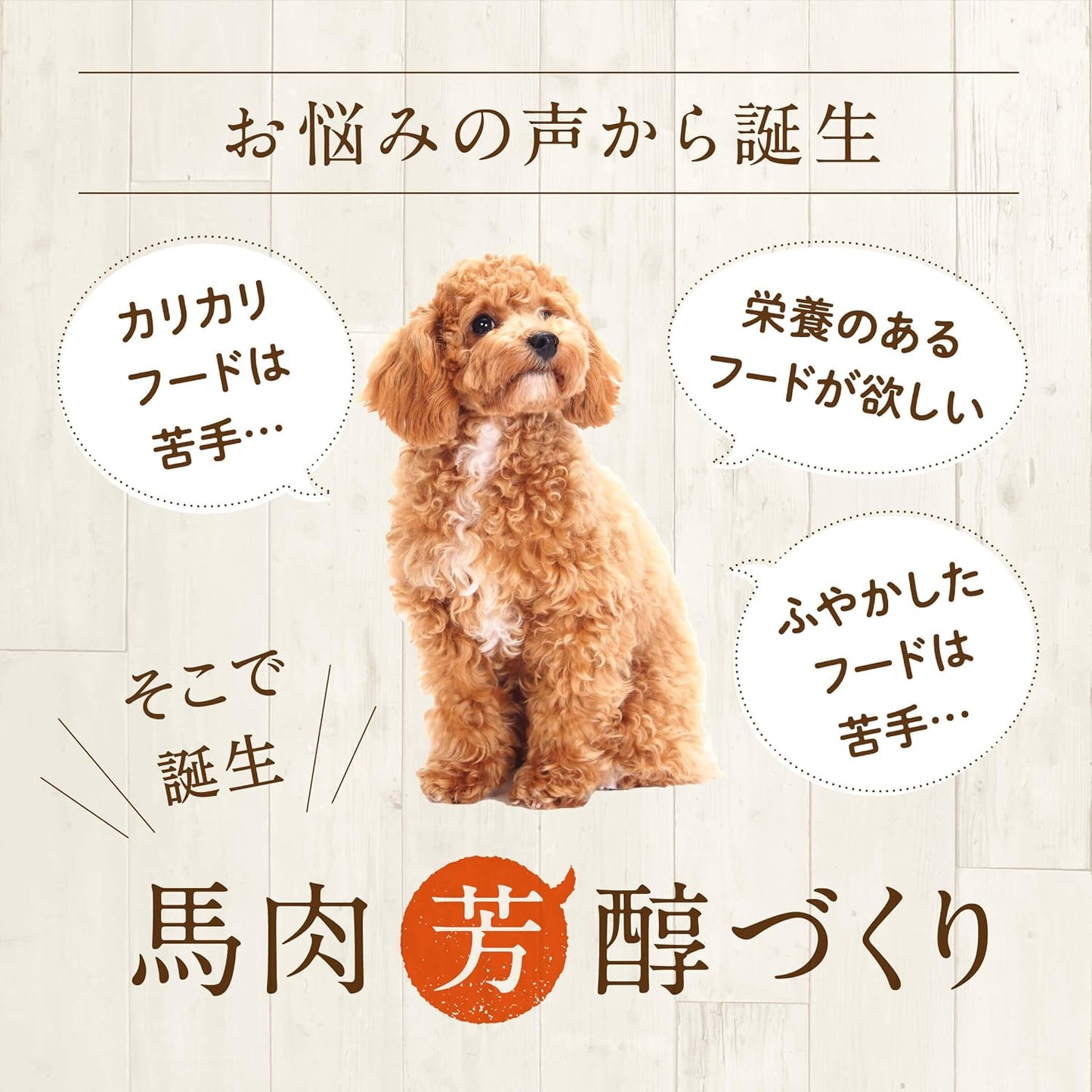 健康いぬ生活 国産 無添加 馬肉芳醇づくり 400g (80g×5袋) 水分 多め ドッグフード 馬肉 犬 小粒 全犬種 全年齢 低脂肪 香料 着色料 保存料 不使用 ヒューマングレード