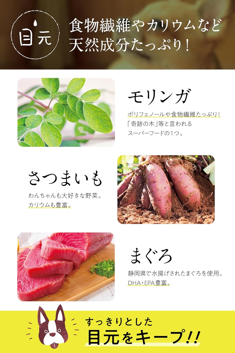 コノコトトモニ このこのごはん ドッグフード 犬の餌 全犬種 全年齢対応 [ 国産 無添加 厳選自然素材/公式限定商品冊子付き ] ペットフード ドライ ドックフード 小型/中型/大型犬 子犬 シニア 小麦グルテンフリー 1kg このこの御飯 (1袋)