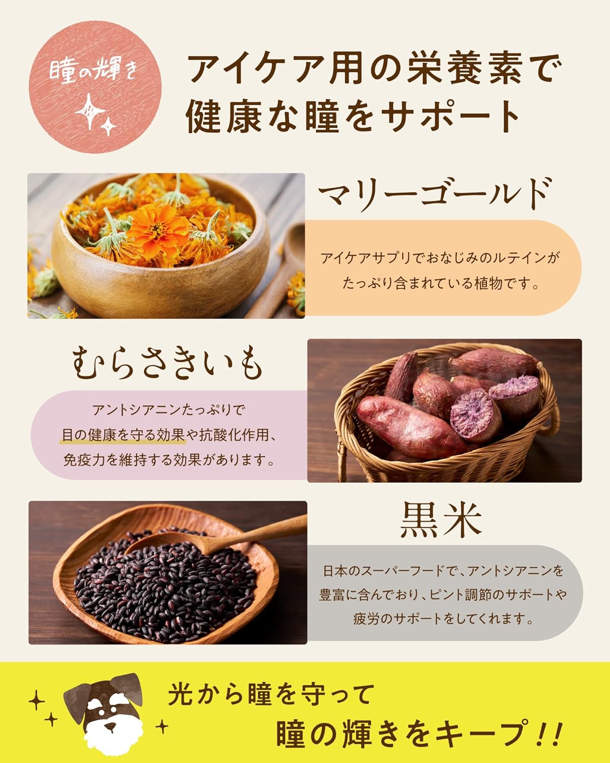 コノコトトモニ シニアのための このこのごはん （ シニア ドッグフード 機能性 / 1kg ） 犬の餌 全犬種 [ 国産 無添加 厳選自然素材 ] ペットフード ドライ ドックフード 小型/中型/大型犬 子犬 小麦グルテンフリー 低カロリー このこの御飯 (1袋)