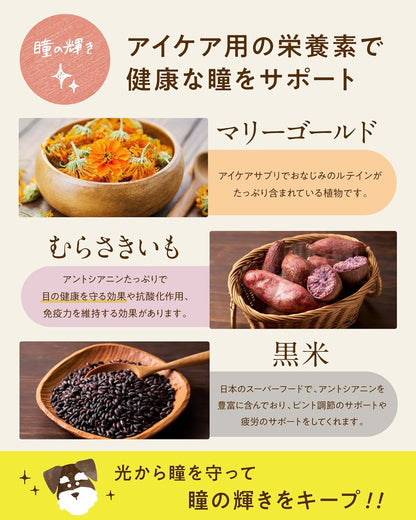 コノコトトモニ シニアのための このこのごはん （ シニア ドッグフード 機能性 / 1kg ） 犬の餌 全犬種 [ 国産 無添加 厳選自然素材 ] ペットフード ドライ ドックフード 小型/中型/大型犬 子犬 小麦グルテンフリー 低カロリー このこの御飯 (1袋)