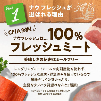 【新鮮な生肉・野菜・フルーツたっぷり!】 ナウフレッシュ 子猫用 丸粒 1.36kg キャットフード (ターキー＆サーモン＆ダック) キトン グレインフリー ミールフリー NOW FRESH