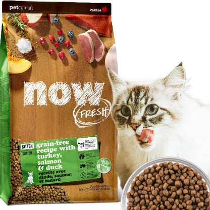 【新鮮な生肉・野菜・フルーツたっぷり!】 ナウフレッシュ 子猫用 丸粒 1.36kg キャットフード (ターキー＆サーモン＆ダック) キトン グレインフリー ミールフリー NOW FRESH