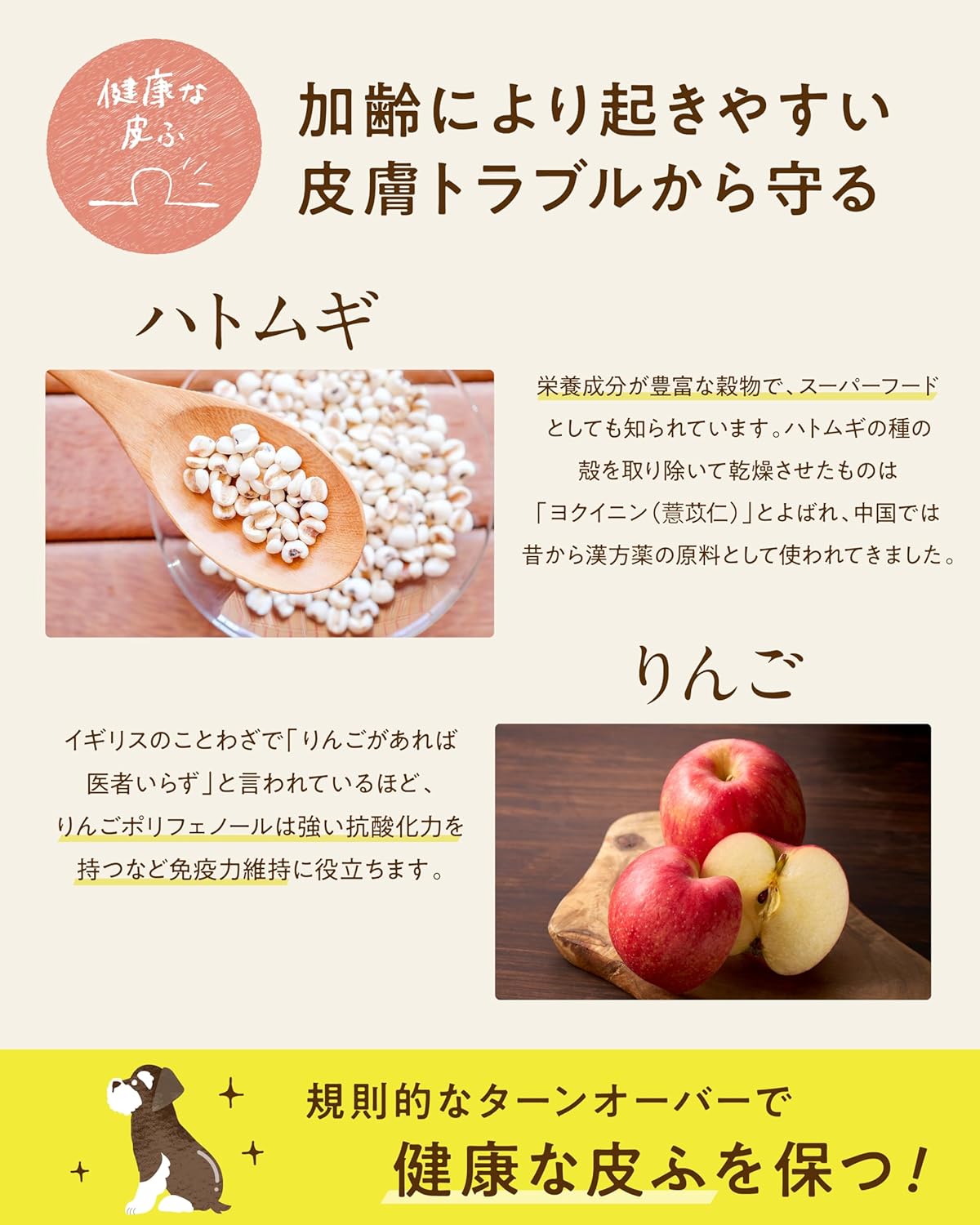 コノコトトモニ シニアのための このこのごはん （ シニア ドッグフード 機能性 / 1kg ） 犬の餌 全犬種 [ 国産 無添加 厳選自然素材 ] ペットフード ドライ ドックフード 小型/中型/大型犬 子犬 小麦グルテンフリー 低カロリー このこの御飯 (1袋)