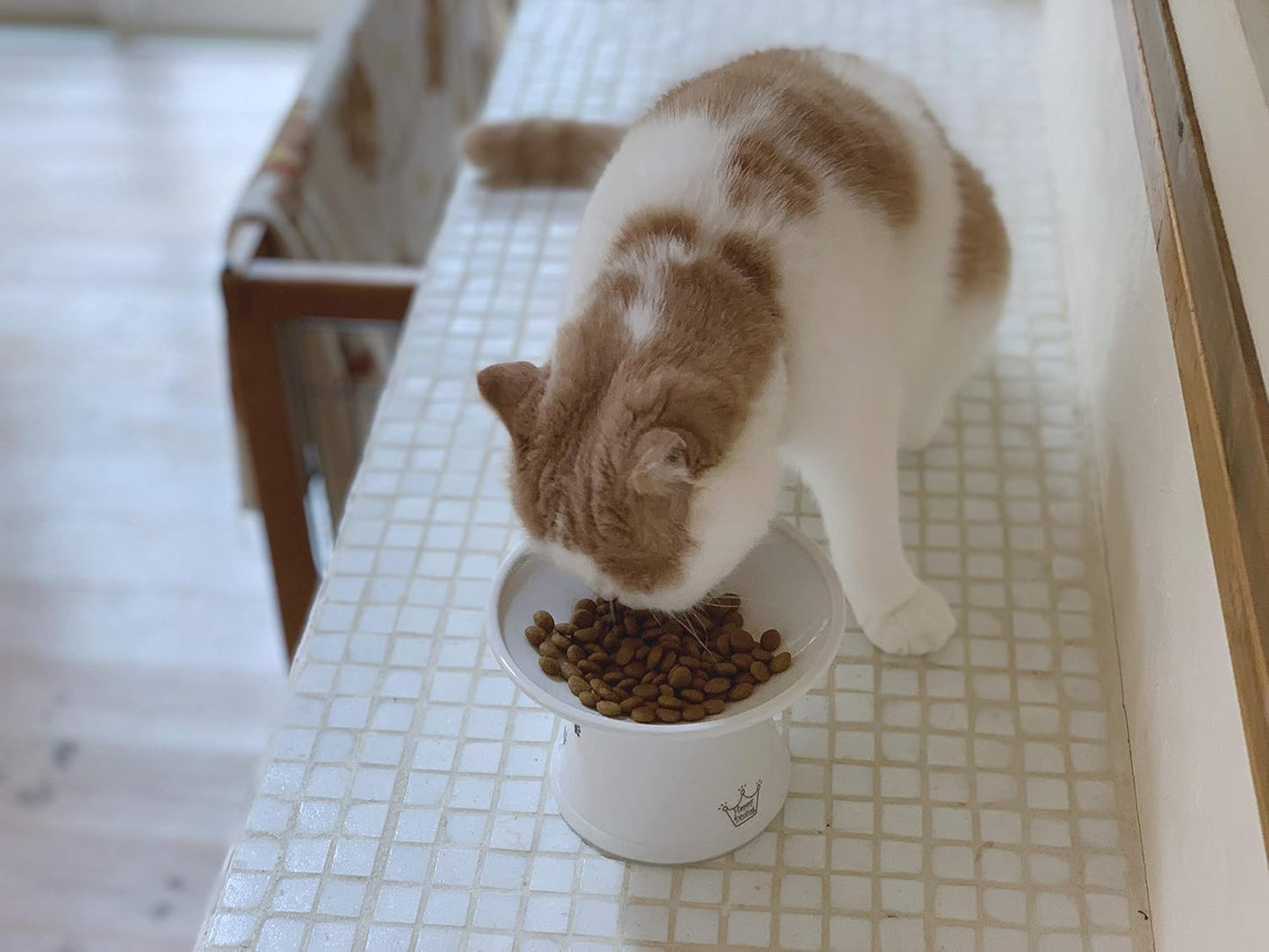 猫壱 ハッピーダイニング 脚付フードボウル 浅広口タイプ 猫柄 猫用 食器