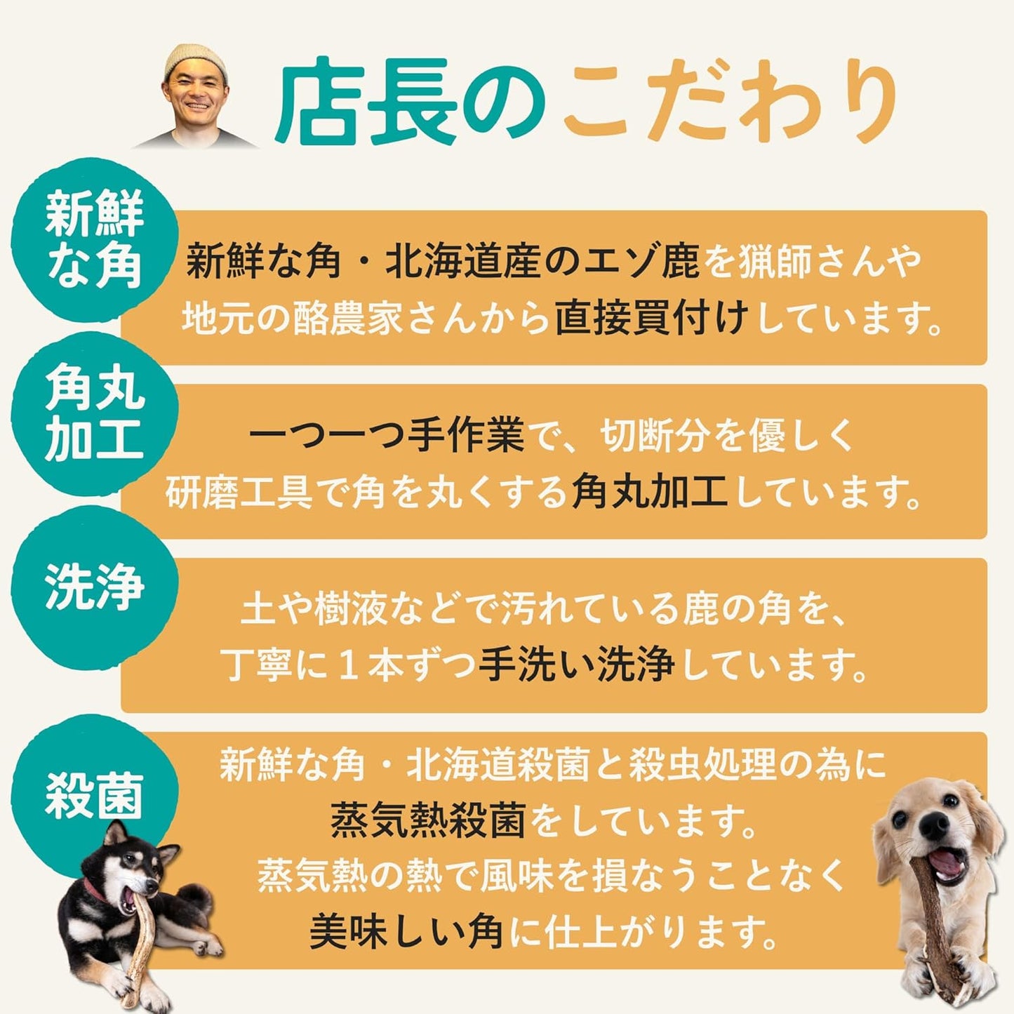 モノライフ 鹿の角 犬 噛むおもちゃ 無添加 おやつ 噛む 犬用 おもちゃ エゾジカ 国産 鹿 角 ガム 歯磨き デンタルケア 大型犬 20cm