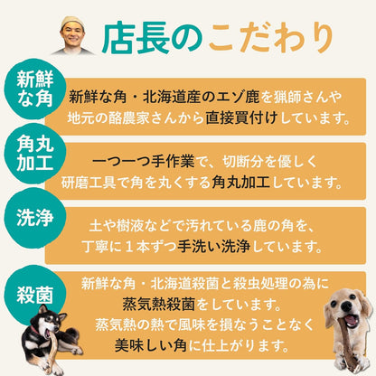モノライフ 鹿の角 犬 噛むおもちゃ 無添加 おやつ 噛む 犬用 おもちゃ エゾジカ 国産 鹿 角 ガム 歯磨き デンタルケア 大型犬 20cm