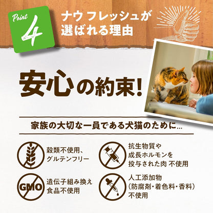 【新鮮な生肉・野菜・フルーツたっぷり!】 ナウフレッシュ 子猫用 丸粒 1.36kg キャットフード (ターキー＆サーモン＆ダック) キトン グレインフリー ミールフリー NOW FRESH