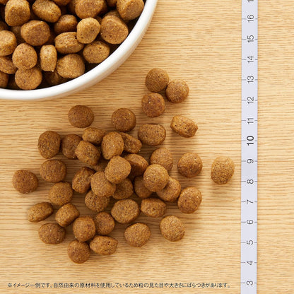Nutro ナチュラルチョイス 中型犬~大型犬用 成犬用 ラム&玄米 2kg ドライフード 総合栄養食 ドッグフード 犬 お試し 自然素材 香料・着色料 無添加 食物アレルギーに配慮 ニュートロ