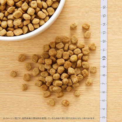 Nutro ナチュラルチョイス 超小型犬~小型犬用 減量用 成犬用 チキン&玄米 3kg ドライフード 小粒 総合栄養食 ドッグフード 犬 自然素材 香料・着色料 無添加 ニュートロ