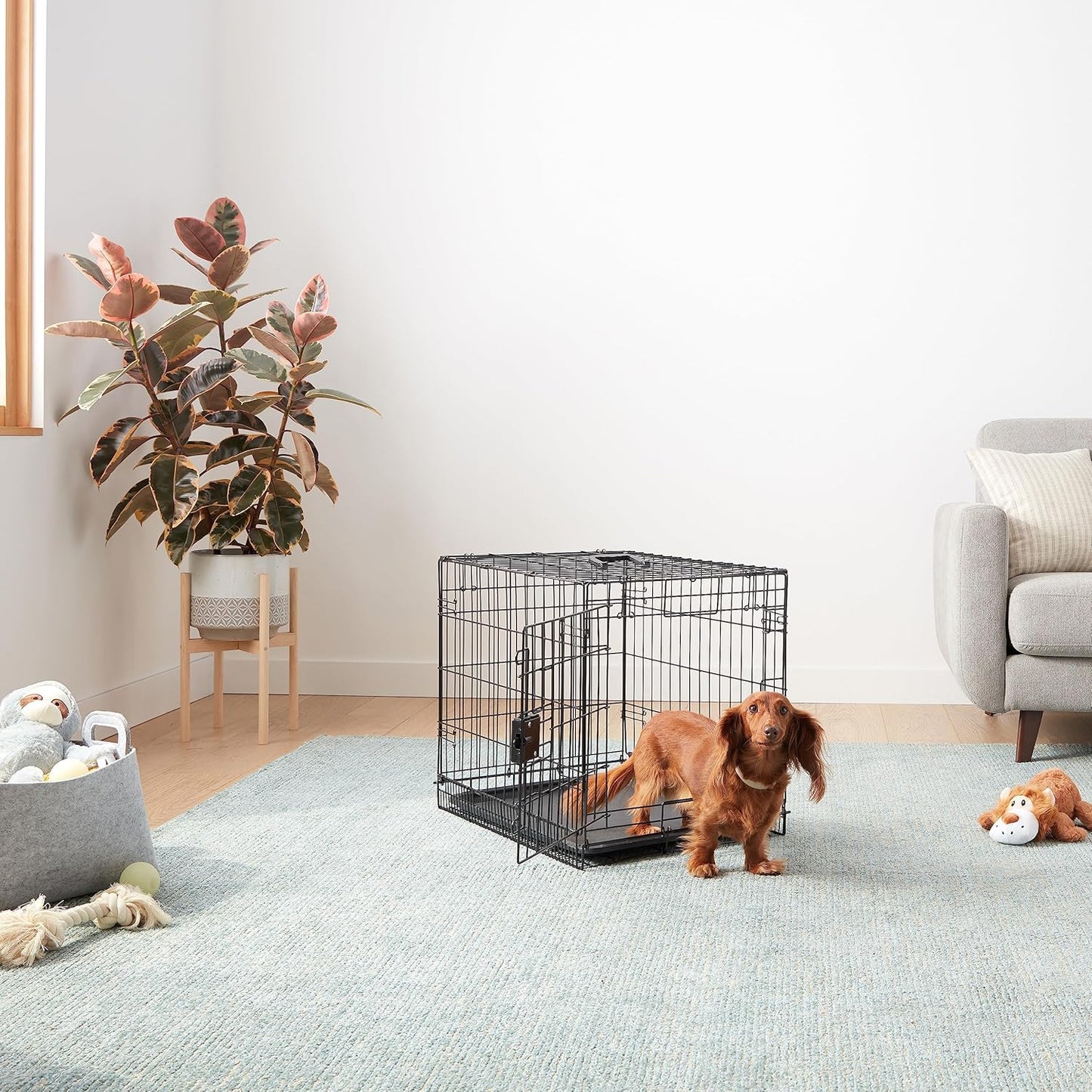 ベーシック 犬 ペットケージ 折り畳み式 トレー付き シングルドア（ ブラック）