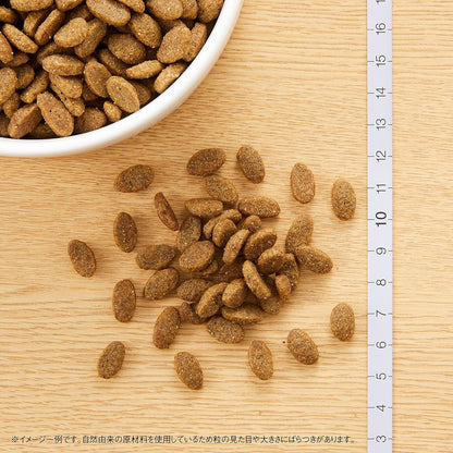 Nutro ナチュラルチョイス 成猫用 室内猫用 アダルト ターキー 2kg ドライフード 総合栄養食 1歳以上 キャットフード 猫 厳選自然素材 下部尿路の健康維持 香料・着色料 無添加 ニュートロ
