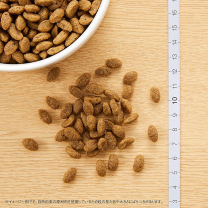 Nutro ナチュラルチョイス 成猫用 穀物フリー アダルト チキン 2kg ドライフード 総合栄養食 1歳以上 キャットフード 猫 グレインフリー 厳選自然素材 消化吸収の健康維持 香料・着色料 無添加 ニュートロ