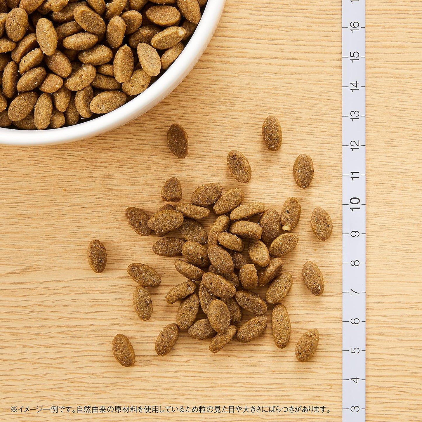 Nutro ナチュラルチョイス 成猫用 室内猫用 アダルト サーモン 2kg ドライフード 総合栄養食 1歳以上 キャットフード 猫 厳選自然素材 下部尿路の健康維持 香料・着色料 無添加 ニュートロ