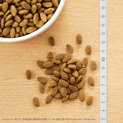 Nutro ナチュラルチョイス 成猫用 室内猫用 アダルト サーモン 2kg ドライフード 総合栄養食 1歳以上 キャットフード 猫 厳選自然素材 下部尿路の健康維持 香料・着色料 無添加 ニュートロ