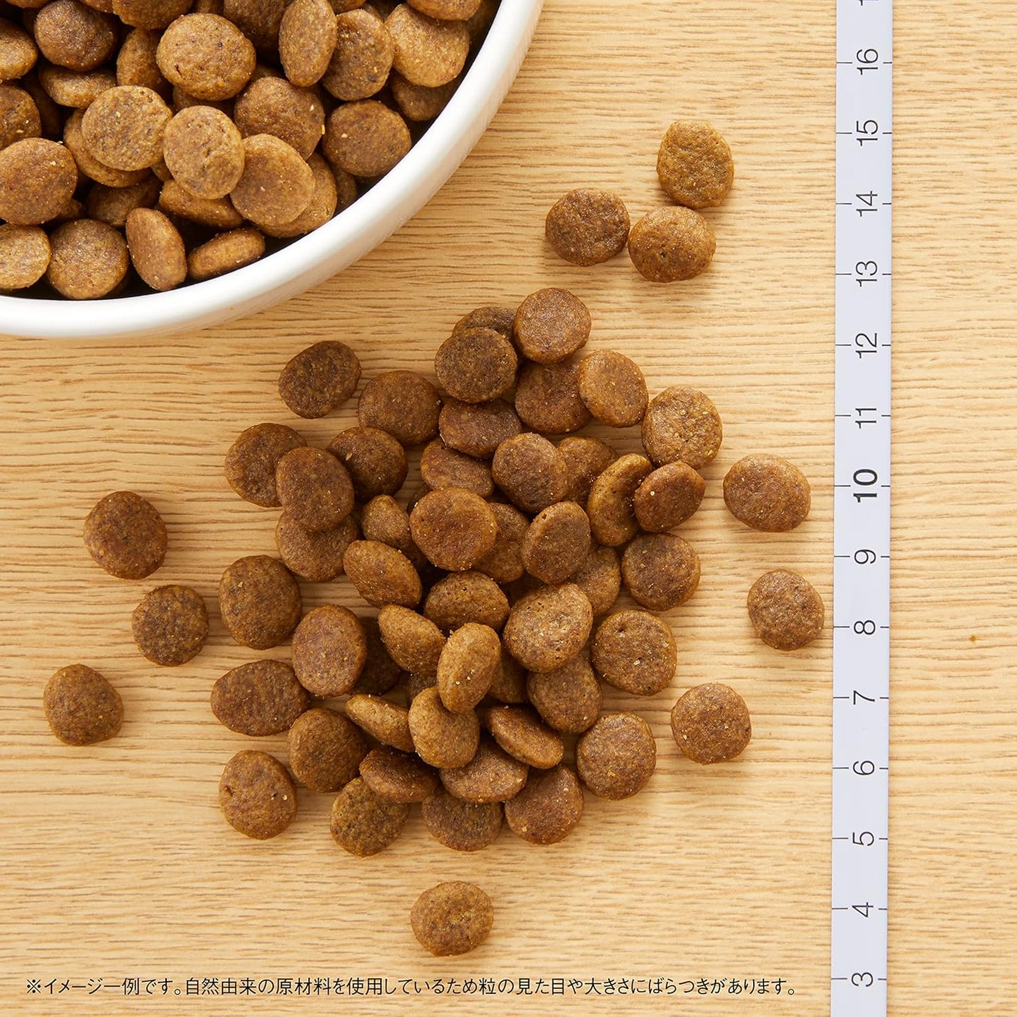Nutro ワイルドレシピ 超小型犬~小型犬用 グレインフリー 成犬用 ターキー 2kg ドライフード 総合栄養食 ドッグフード 犬 穀物フリー 香料・着色料 無添加 ニュートロ