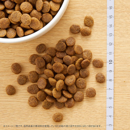Nutro ワイルドレシピ 超小型犬~小型犬用 グレインフリー 成犬用 ターキー 2kg ドライフード 総合栄養食 ドッグフード 犬 穀物フリー 香料・着色料 無添加 ニュートロ