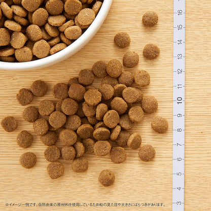 Nutro ワイルドレシピ 成猫用 グレインフリー アダルト チキン 2kg ドライフード 総合栄養食 キャットフード 猫 穀物フリー 高タンパク 厳選自然素材 香料・着色料 無添加 ニュートロ