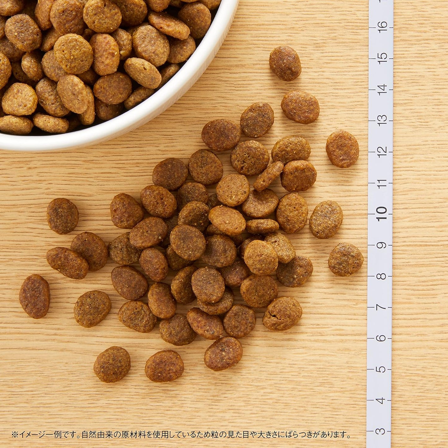Nutro ワイルドレシピ 超小型犬~小型犬用 グレインフリー 成犬用 ターキー 2kg ドライフード 総合栄養食 ドッグフード 犬 穀物フリー 香料・着色料 無添加 ニュートロ